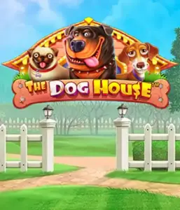 Experience Pragmatic Play's The Dog House Slot, bringing you a fun-filled adventure through lovable dogs. Enjoy features including multipliers, aimed at delivering joyful moments. Ideal for animal enthusiasts an amusing setting with a chance for big wins.