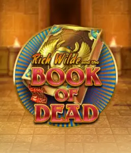 Enter the thrilling world of Book of Dead by Play'n GO, featuring vivid graphics of Rich Wilde's journey through ancient Egyptian tombs and artifacts. Find lost riches with engaging mechanics like free spins, expanding symbols, and a gamble option. Ideal for adventure enthusiasts with a desire for exciting finds.